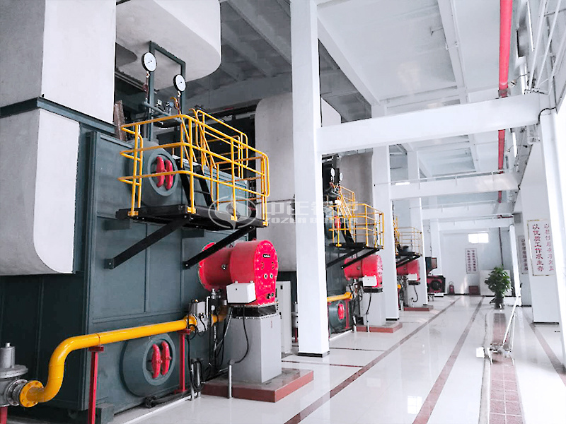 14MW SZS系列冷凝式燃?xì)鉄崴仩t項(xiàng)目